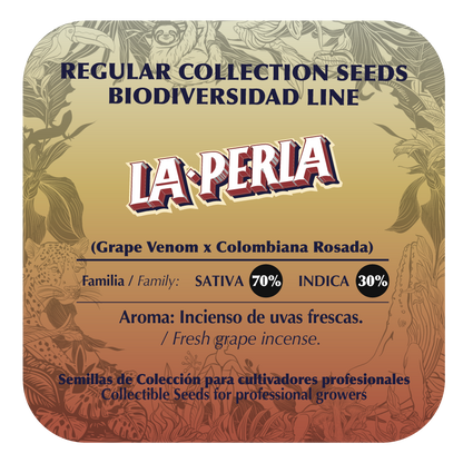 La Perla (Grape Venom x Col Rosada) 10-Pack Regular