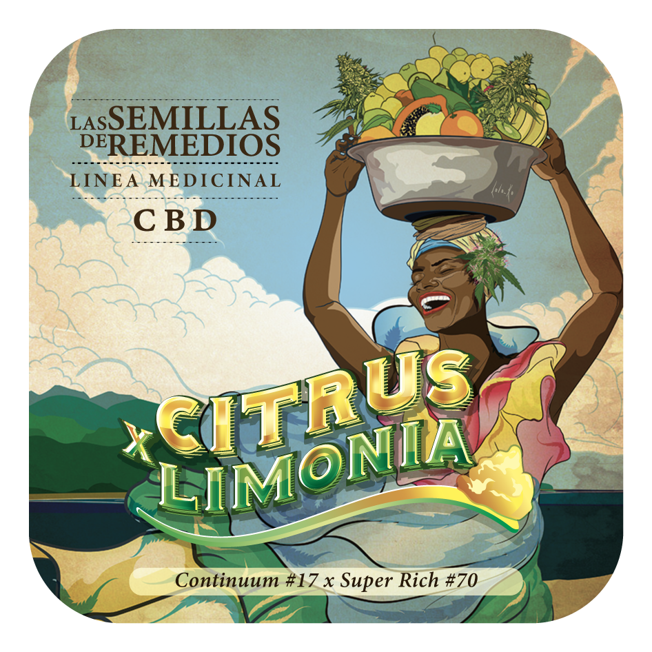 Citrus Limonia CBD (Continium #17 x Super Rich #70) FEM 5-Pack
