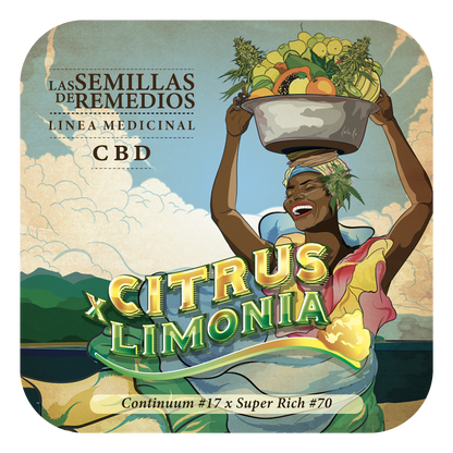 Citrus Limonia CBD (Continium #17 x Super Rich #70) FEM 5-Pack