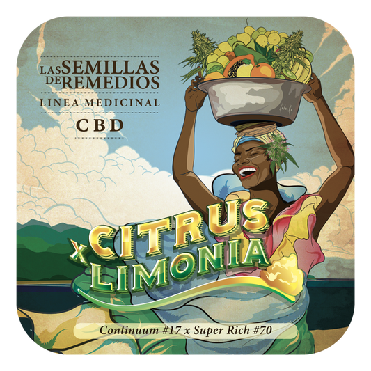 Citrus Limonia CBD (Continium #17 x Super Rich #70) FEM 5-Pack