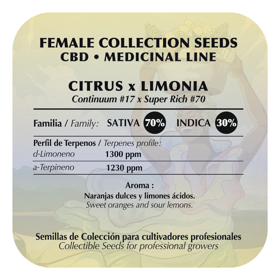Citrus Limonia CBD (Continium #17 x Super Rich #70) FEM 5-Pack