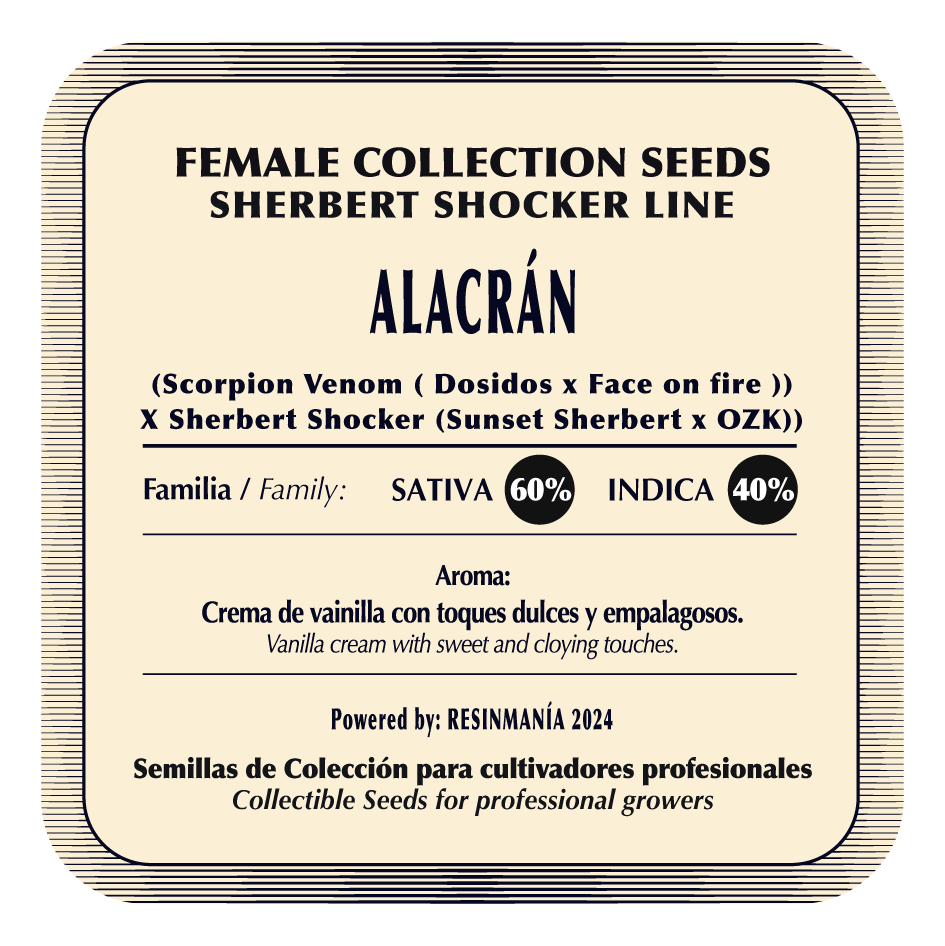 Alacrán (Scorpion Venom x Sherbert Shocker) FEM 5-Pack