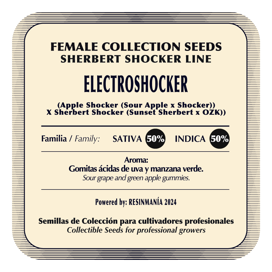 Electroshocker (Apple Shocker x Sherbert Shocker) FEM 5-Pack