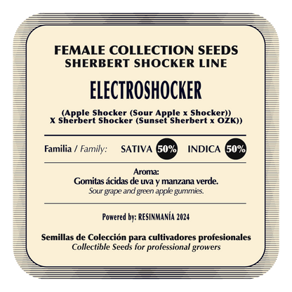 Electroshocker (Apple Shocker x Sherbert Shocker) FEM 5-Pack