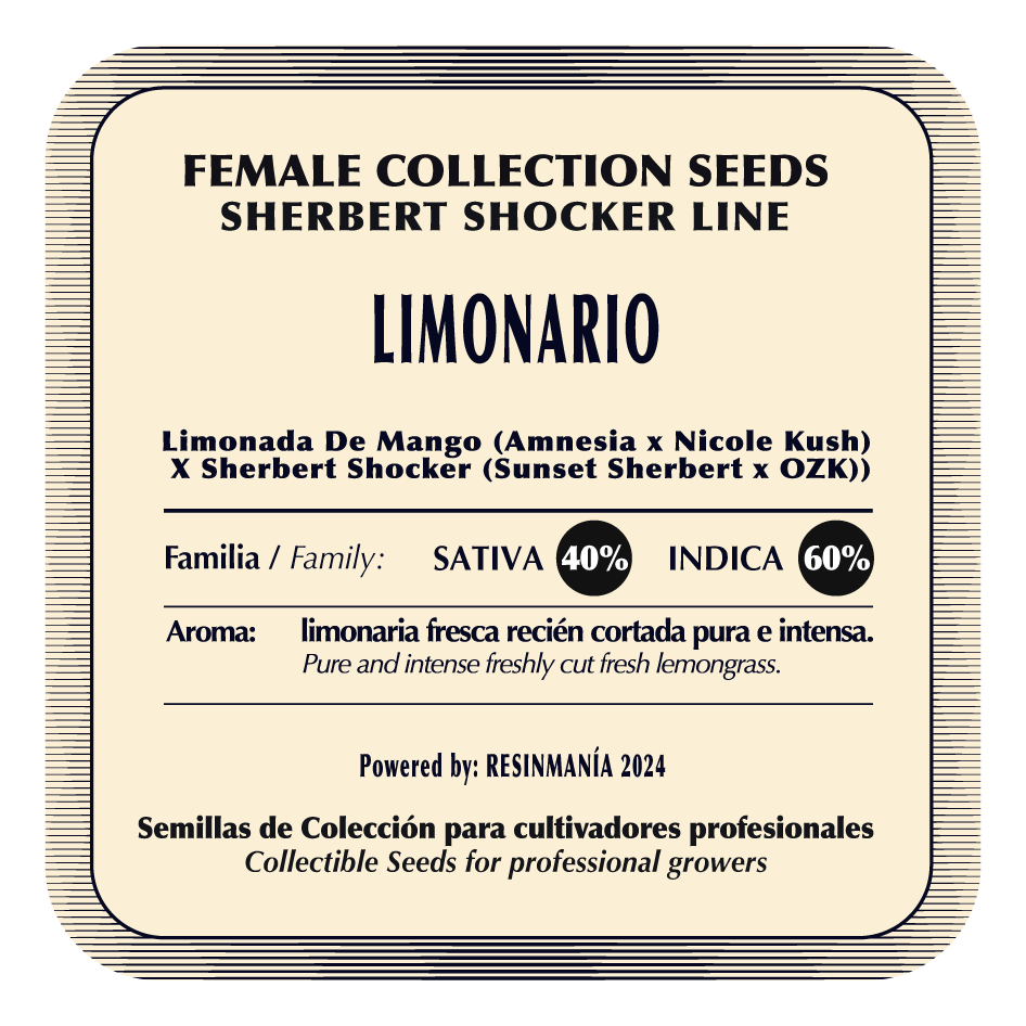 Limonario (Limonada de Mango x Sherbet ShockerI) FEM 5-Pack