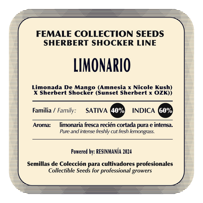Limonario (Limonada de Mango x Sherbet ShockerI) FEM 5-Pack