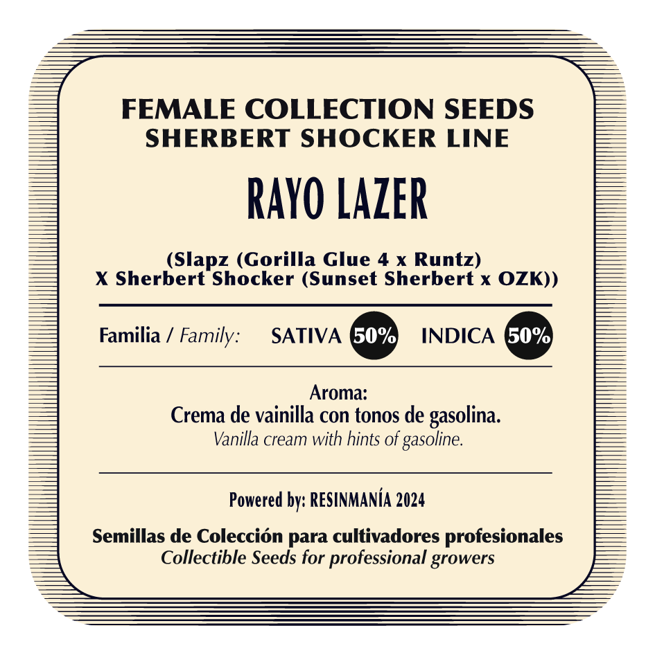 Rayo Lazer (Slapz × Sherbert Shocker) 5-Pack
