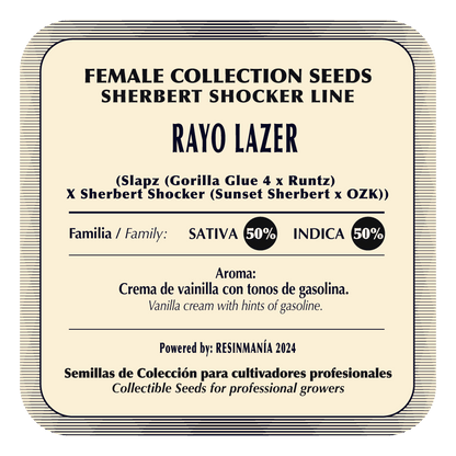 Rayo Lazer (Slapz × Sherbert Shocker) 5-Pack