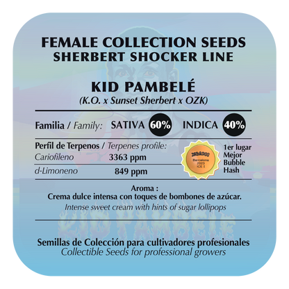 Kid Pambelé (K.O. x Sherbert Shocker) FEM 5-Pack