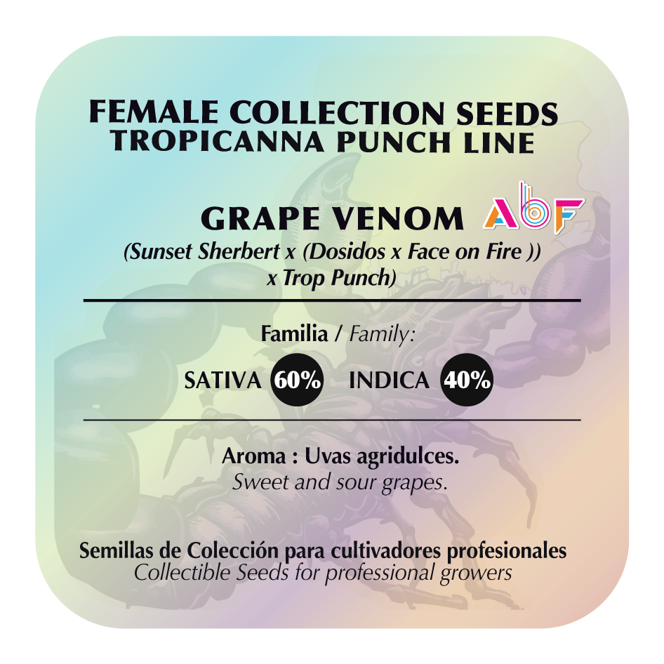 Grape Venom (Scorpion Venom x Tropicanna Punch) FEM 5-Pack