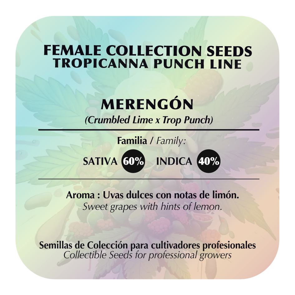 Merengón (Crumbled Lime x Tropicanna Punch) FEM 5-Pack