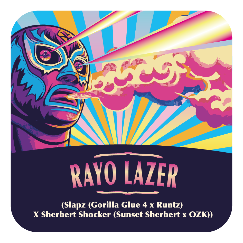 Rayo Lazer (Slapz × Sherbert Shocker) 5-Pack