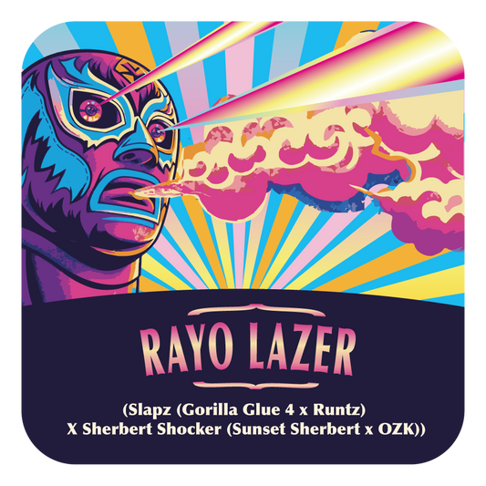 Rayo Lazer (Slapz × Sherbert Shocker) 5-Pack