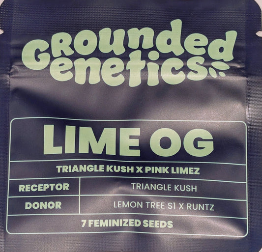 Lime OG (Triangle Kush x Pink Limez) 7-Pack + 2 Blucci S1 + 2 Blue Honey