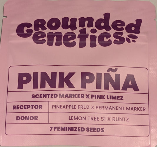 Pink Piña (Scented Marker x Pink Limez) 7-Pack + 2 Blucci S1 + 2 Blue Honey