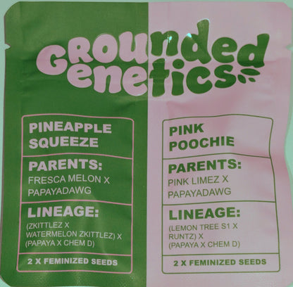 Lime Zerb (Zerb OG x Pink Limez) 7-Pack + 2 Pineapple Squeeze + 2 Pink Poochie