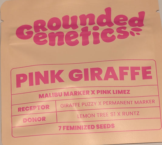Pink Giraffe (Malibu Marker x Pink Limez) 7-Pack + 2 Blucci S1 + 2 Blue Honey
