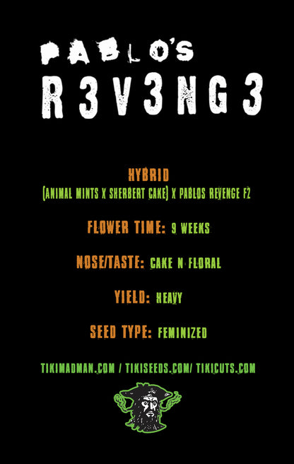 Pablo's Revenge ([Animal Mints x Sherbet Cake] x Pablos Revenge) Fem 6 seeds
