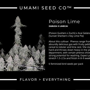 Poison Lime (Zabuza x Limecai) 6 seeds + 3 Sour D Zoda