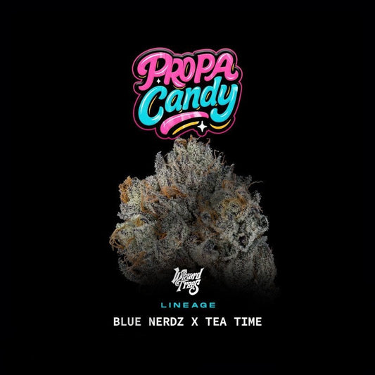 Propa Candy (Blue Nerdz x Tea Time) 3-Pack