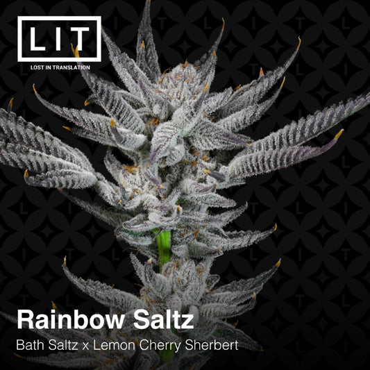 Rainbow Saltz (Bath Saltz x Lemon Cherry Sherbert) 6-pack