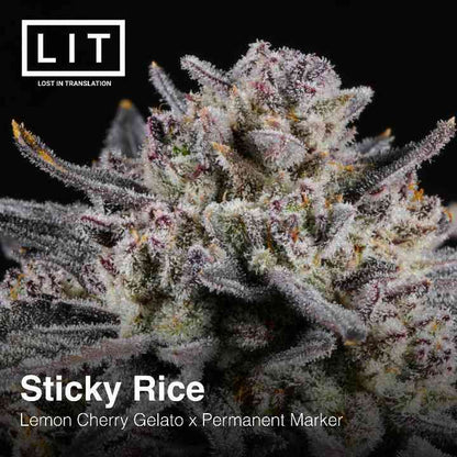 Sticky Rice (Lemon Cherry Gelato x Permanent Marker) 6-Pack