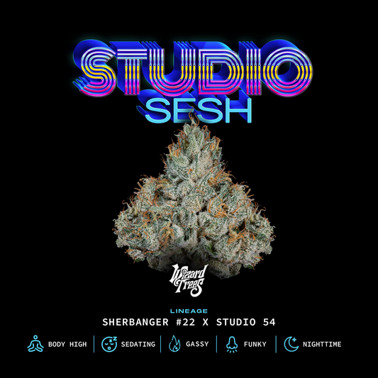Studio Sesh (Sherbanger 22 x Studio 54) 3-Pack