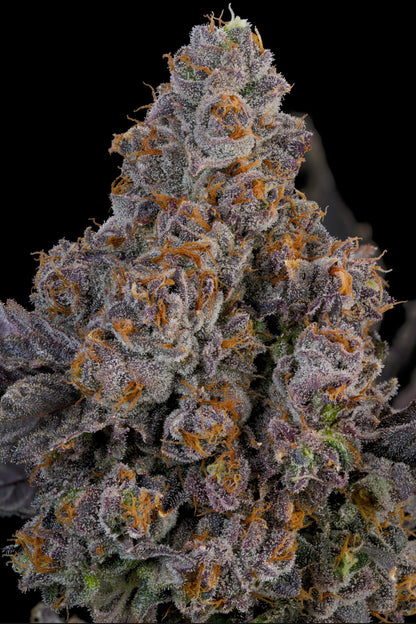 Maracuya (Zwisher x Peach Guava) 7 seeds + 2 Melon Dawg + 2 Peach Chai