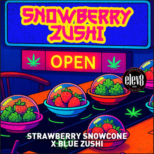 Snowberry Zushi (Strawberry Snowcone x Blue Zushi) 6-Pack