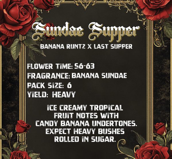 Sundae Supper (Banana Runtz x Last Supper) 3 seeds