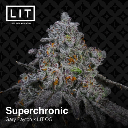 Superchronic 6-pack