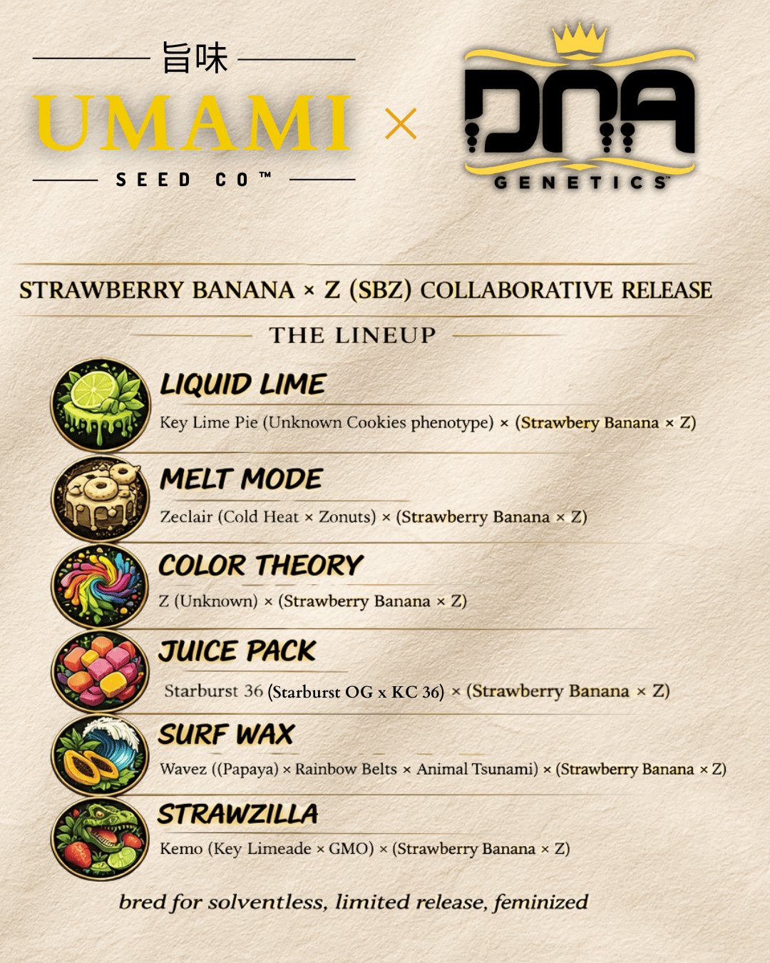 STRAWZILLA (Kemo (Key Limeade × GMO) × (Strawberry Banana × Z)) 6 seeds + 3 Sour Diesel x Zoda