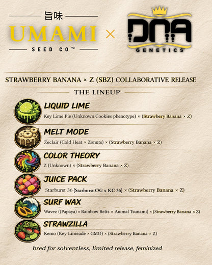 STRAWZILLA (Kemo (Key Limeade × GMO) × (Strawberry Banana × Z)) 6 seeds + 3 Sour Diesel x Zoda