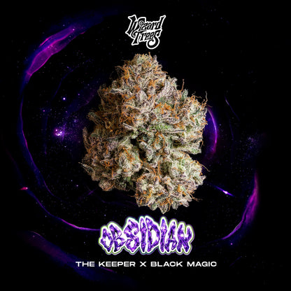 Obsidian (THE KEEPER x BLACK MAGIC) 3 seeds