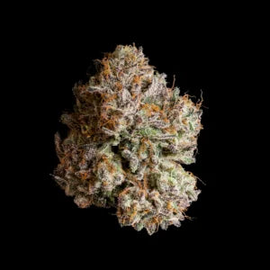 Obsidian (THE KEEPER x BLACK MAGIC) 3 seeds