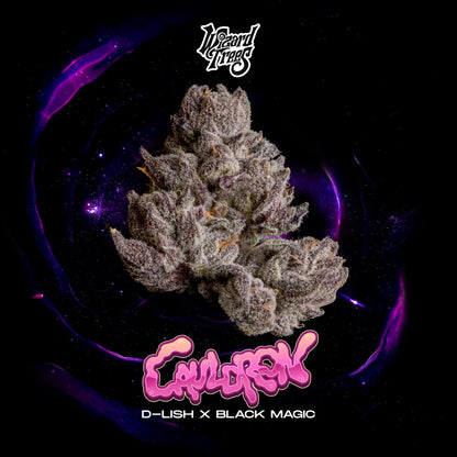 Cauldron (D-Lish x Black Magic) 3 seeds