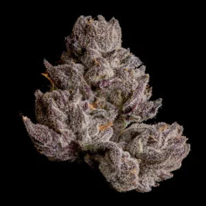 Cauldron (D-Lish x Black Magic) 3 seeds