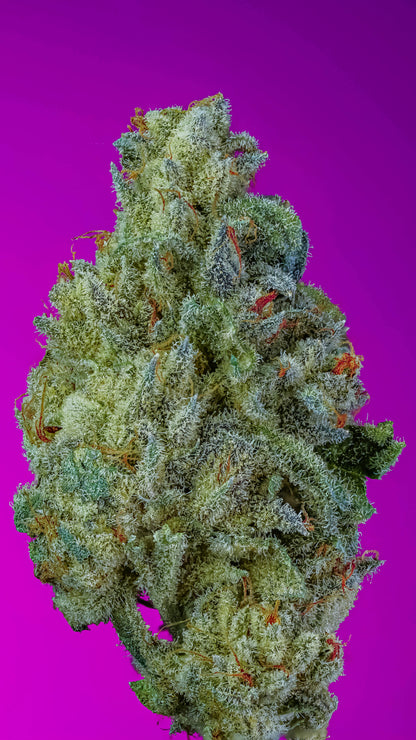 Frozen Royalty S1 *Limited Discord Grow Off Exclusive*