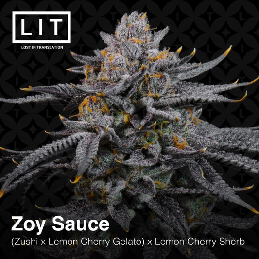 Zoy Sauce ((Zushi x Lemon Cherry Gelato) x Lemon Cherry Sherbert) 6-pack