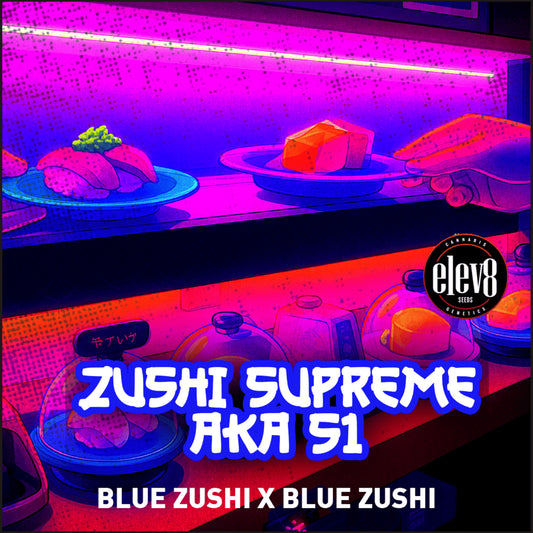 Zushi Supreme (Blue Zushi S1) 6-Pack