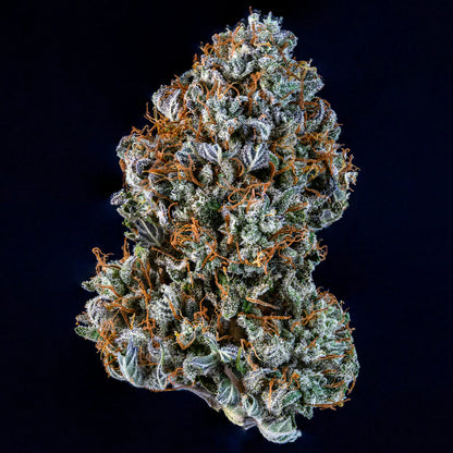 Creme de la Chem (Stardawg Illuminati Cut x Chemdoggin) 3-Pack