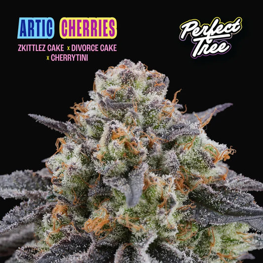 Artic Cherries (Zkittlez cake x Divorce cake x Cherrytini) x6 + 3 Frozini Freebie