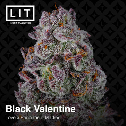 Black Valentine (Love x Permanent Marker) 6 - Pack - Gas Station