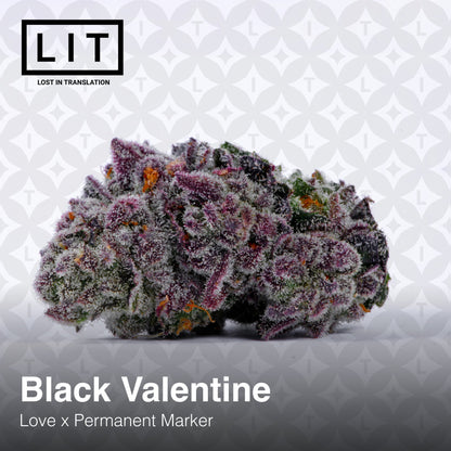 Black Valentine (Love x Permanent Marker) 6 - Pack - Gas Station