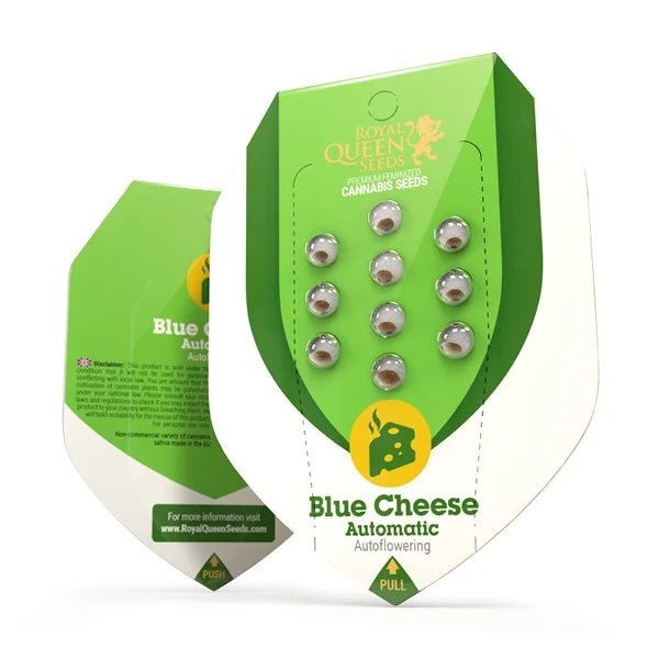 Blue Cheese Auto - Gas Station