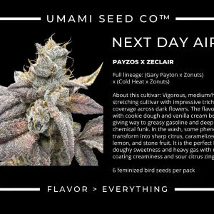 Next Day Air (Payzos x ZeClair) 6 seeds + 3 Sour D Zoda