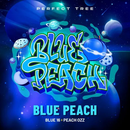 Blue Peach (Blue 16 x Peach Ozz) Feminized seeds x6