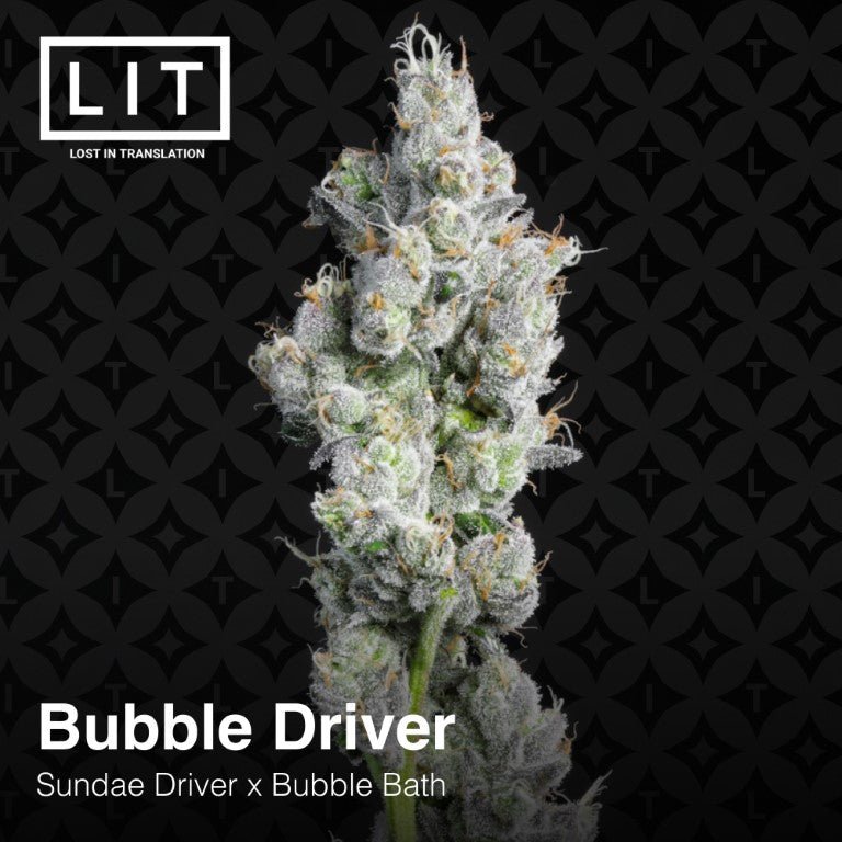 Bubble Driver (Sundae Driver x Bubble Bath) 6 - Pack - Gas Station