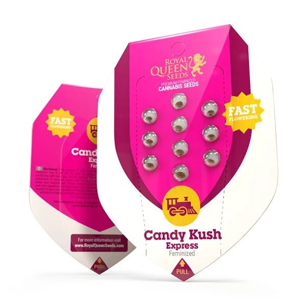 Candy Kush Express (Fast Flowering) - Gas Station