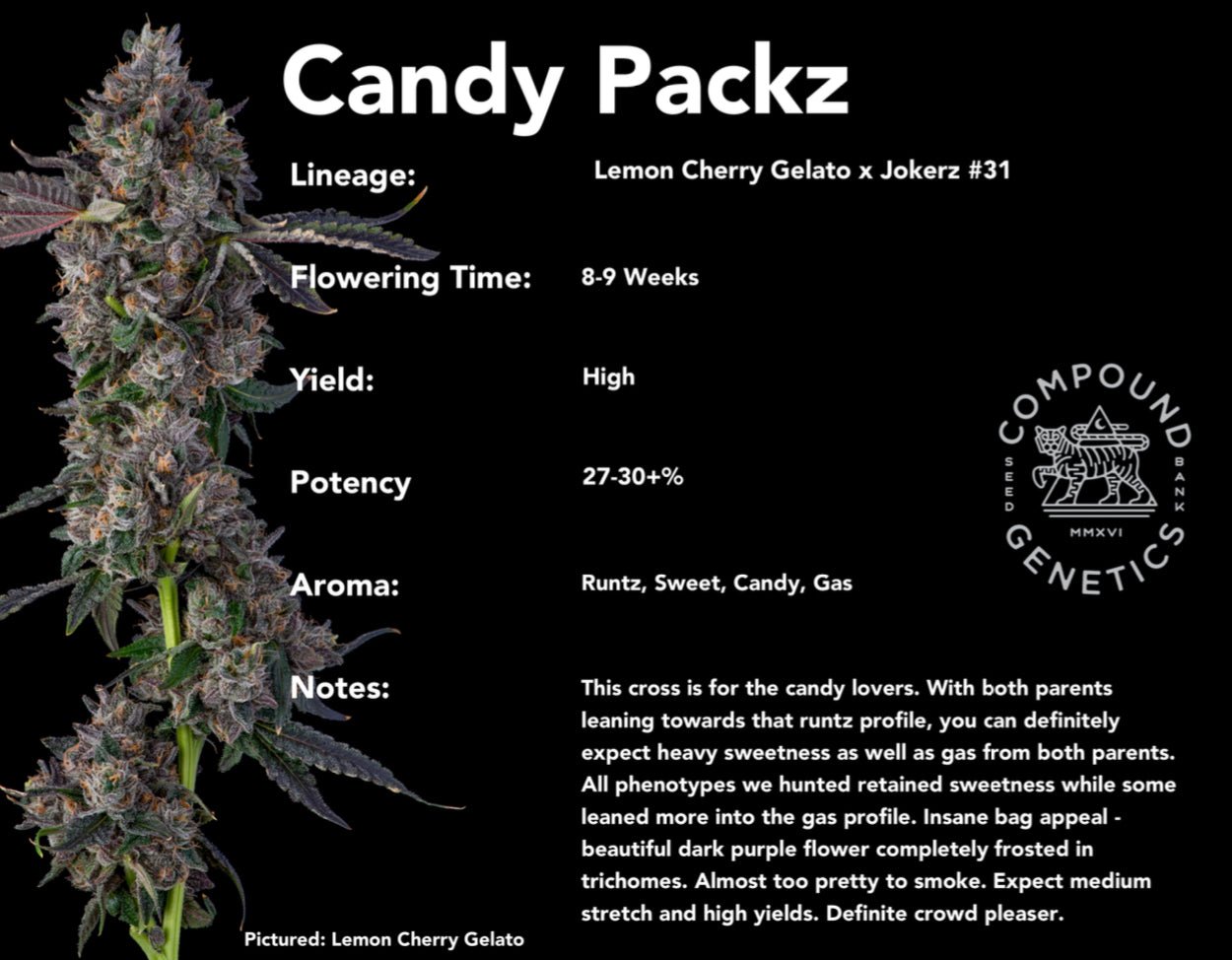 Candy Packz (LemonCherryGelato x Jokerz#31) 7 - pack - Gas Station